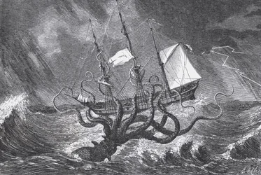 Il Kraken, visto dall